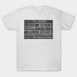 Brick Wall T-Shirt